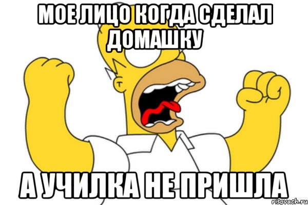 Мое лицо когда сделал домашку А училка не пришла, Мем Разъяренный Гомер