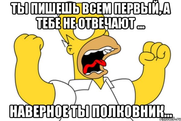 Ты пишешь всем первый, а тебе не отвечают ... Наверное ты полковник..., Мем Разъяренный Гомер