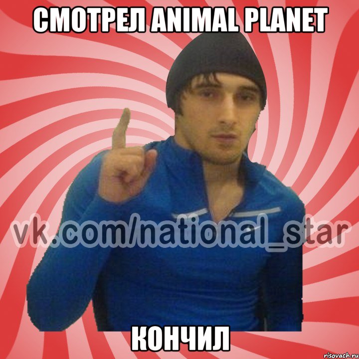 Смотрел animal planet Кончил