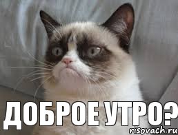     Доброе утро?