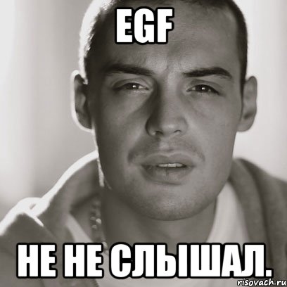 EGF Не не слышал., Мем Гуф