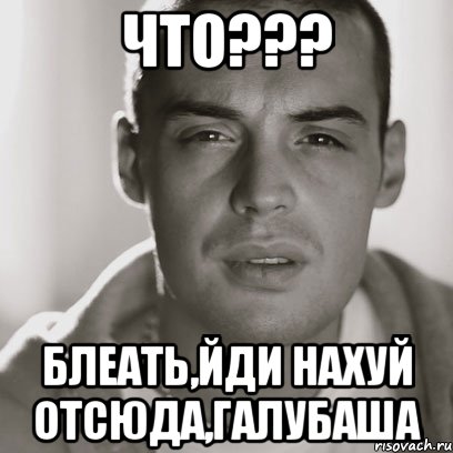 Что??? Блеать,йди Нахуй отсюда,Галубаша, Мем Гуф