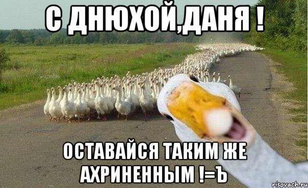 С днюхой,Даня ! Оставайся таким же ахриненным !=ъ, Мем гуси