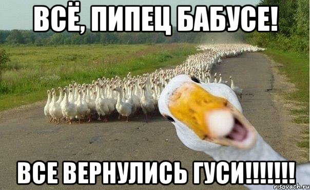 Всё, пипец бабусе! Все вернулись гуси!!!!!!!, Мем гуси