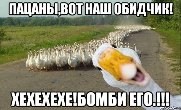 Пацаны,вот наш обидчик! Хехехехе!Бомби его.!!!, Мем гуси