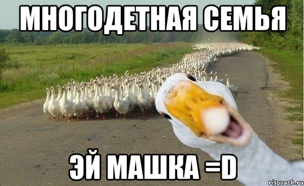 Многодетная семья ЭЙ МАШКА =D, Мем гуси