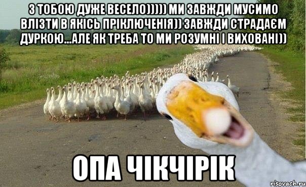 з тобою дуже весело))))) ми завжди мусимо влізти в якісь пріключенія)) завжди страдаєм дуркою...але як треба то ми розумні і виховані)) опа чікчірік, Мем гуси