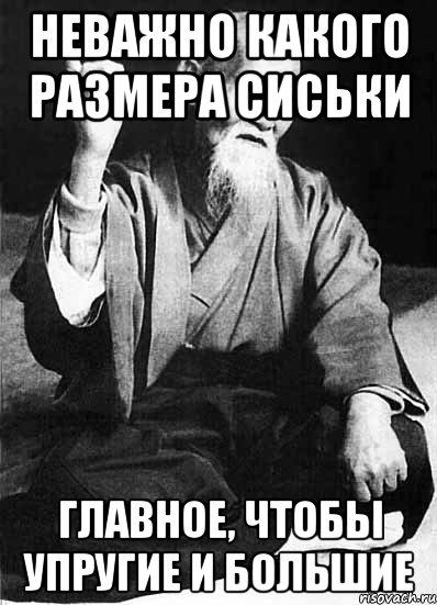 Неважно какого размера сиськи Главное, чтобы упругие и большие, Мем Монах-мудрец (сэнсей)