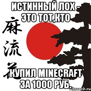 Истинный лох - это тот,кто купил Minecraft за 1000 руб., Мем Хокку