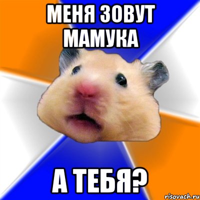 меня зовут Мамукa а тебя?, Мем Хомяк