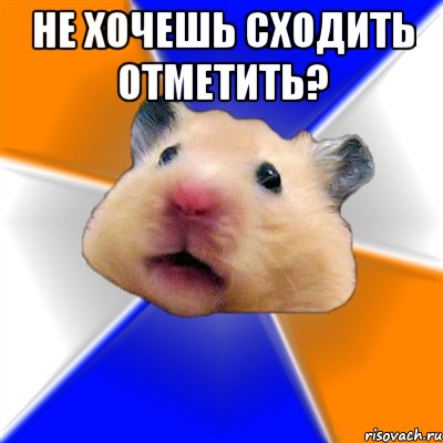 не хочешь сходить отметить? , Мем Хомяк