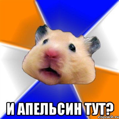  и апельсин тут?, Мем Хомяк