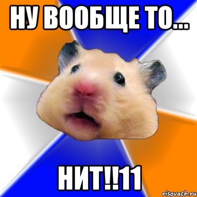 Ну вообще то... НИТ!!11, Мем Хомяк