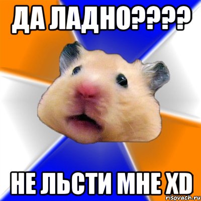 Да ладно???? Не льсти мне xD, Мем Хомяк