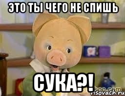 это ты чего не спишь сука?!