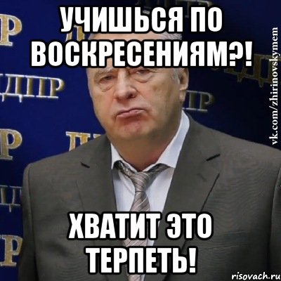 УЧИШЬСЯ ПО ВОСКРЕСЕНИЯМ?! ХВАТИТ ЭТО ТЕРПЕТЬ!, Мем Хватит это терпеть (Жириновский)