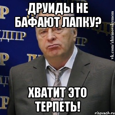 Друиды не бафают лапку? Хватит это терпеть!, Мем Хватит это терпеть (Жириновский)