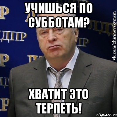 Учишься по субботам? Хватит это терпеть!, Мем Хватит это терпеть (Жириновский)