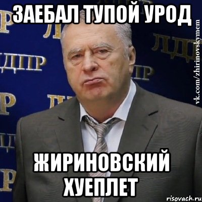 заебал тупой урод Жириновский хуеплет, Мем Хватит это терпеть (Жириновский)