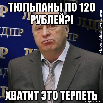 Тюльпаны по 120 рублей?! ХВАТИТ ЭТО ТЕРПЕТЬ, Мем Хватит это терпеть (Жириновский)