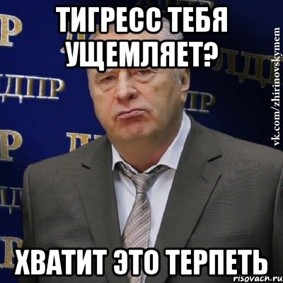 Тигресс тебя ущемляет? Хватит это терпеть, Мем Хватит это терпеть (Жириновский)