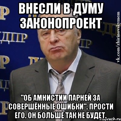 Внесли в Думу законопроект "Об амнистии парней за совершённые ошибки". Прости его. Он больше так не будет., Мем Хватит это терпеть (Жириновский)