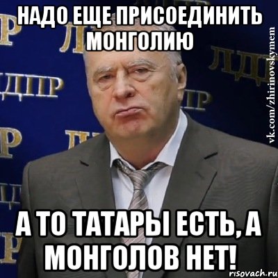 Надо еще присоединить монголию а то татары есть, а монголов нет!, Мем Хватит это терпеть (Жириновский)