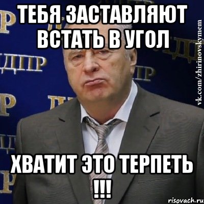 ТЕБЯ ЗАСТАВЛЯЮТ ВСТАТЬ В УГОЛ ХВАТИТ ЭТО ТЕРПЕТЬ !!!, Мем Хватит это терпеть (Жириновский)