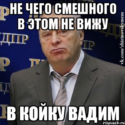 не чего смешного в этом не вижу в койку вадим, Мем Хватит это терпеть (Жириновский)