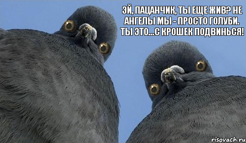 эй, пацанчик, ты еще жив? не ангелы мы - просто голуби. ты это...с крошек подвинься!, Комикс Искра снов