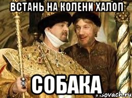 встань на колени халоп собака, Мем Иван Васильевич меняет профессию