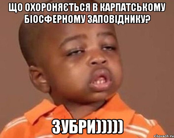 Що охороняється в Карпатському біосферному заповіднику? ЗУБРИ))))), Мем  Какой пацан (негритенок)