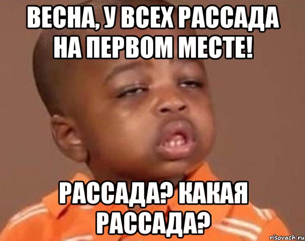 Весна, у всех рассада на первом месте! Рассада? Какая рассада?, Мем  Какой пацан (негритенок)