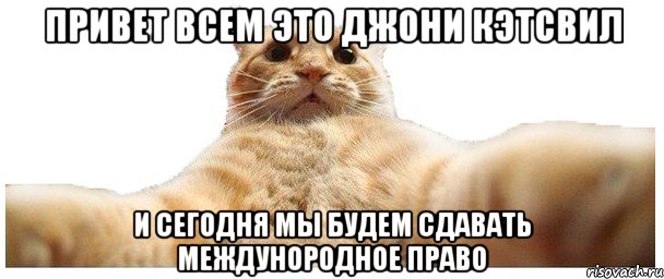 Привет всем это Джони Кэтсвил И сегодня мы будем сдавать междунородное право, Мем   Кэтсвилл