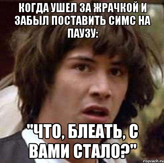 Когда ушел за жрачкой и забыл поставить симс на паузу: "Что, блеать, с вами стало?", Мем А что если (Киану Ривз)