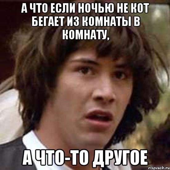 А ЧТО ЕСЛИ НОЧЬЮ НЕ КОТ БЕГАЕТ ИЗ КОМНАТЫ В КОМНАТУ, А ЧТО-ТО ДРУГОЕ, Мем А что если (Киану Ривз)