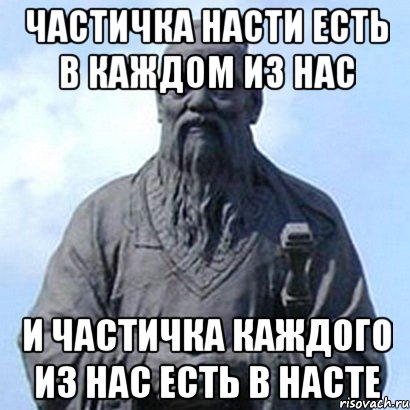 Частичка Насти есть в каждом из нас и частичка каждого из нас есть в Насте, Мем  конфуций