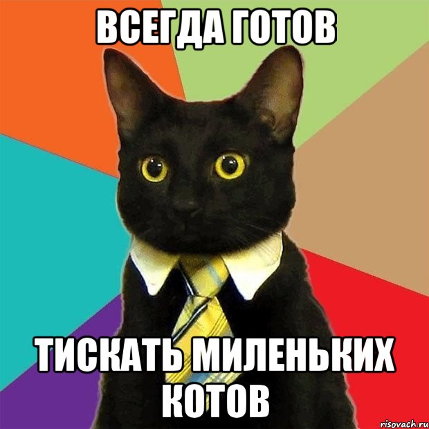 всегда готов тискать миленьких котов, Мем  Кошечка