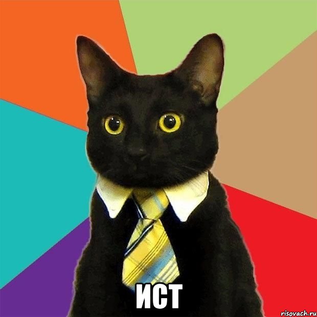  ИСТ, Мем  Кошечка