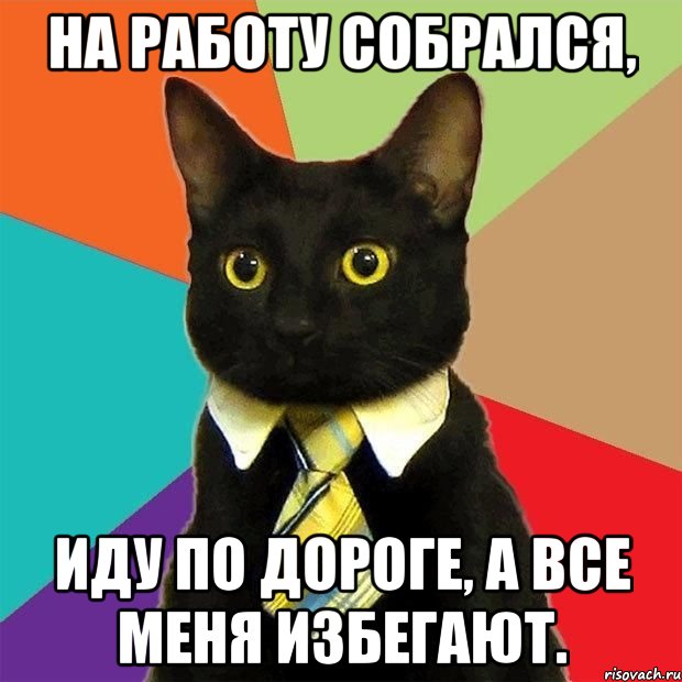 На работу собрался, иду по дороге, а все меня избегают., Мем  Кошечка