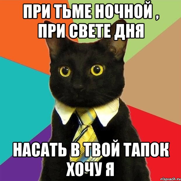 при тьме ночной , при свете дня насать в твой тапок хочу я, Мем  Кошечка