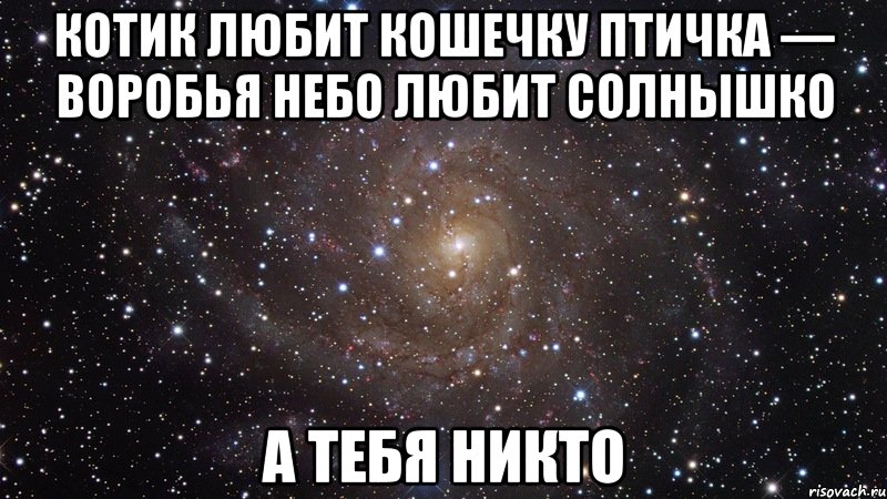 котик любит кошечку птичка — воробья небо любит солнышко а тебя никто, Мем  Космос (офигенно)