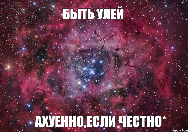 Быть Улей Ахуенно,если честно*