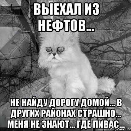 Выехал из нефтов... Не найду дорогу домой... в других районах страшно... меня не знают... где пивас...