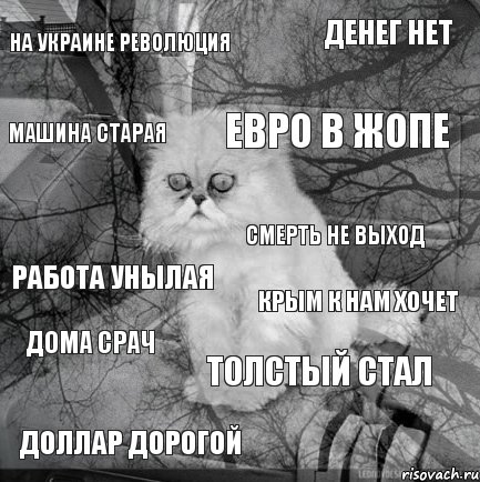 НА УКРАИНЕ РЕВОЛЮЦИЯ КРЫМ К НАМ ХОЧЕТ ЕВРО В ЖОПЕ ДОЛЛАР ДОРОГОЙ РАБОТА УНЫЛАЯ ДЕНЕГ НЕТ ТОЛСТЫЙ СТАЛ МАШИНА СТАРАЯ ДОМА СРАЧ СМЕРТЬ НЕ ВЫХОД, Комикс  кот безысходность