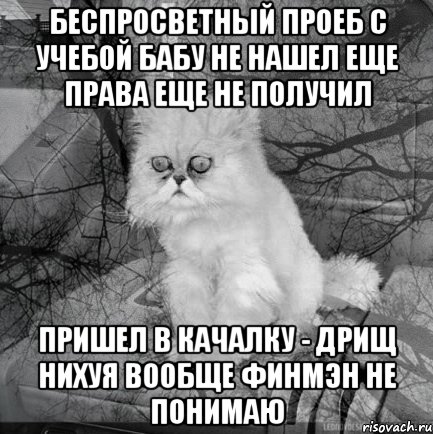 беспросветный проеб с учебой бабу не нашел еще права еще не получил пришел в качалку - дрищ нихуя вообще финмэн не понимаю, Комикс  кот безысходность