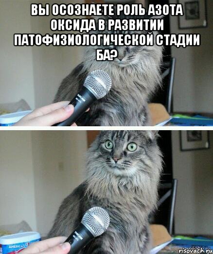 Вы осознаете роль азота оксида в развитии патофизиологической стадии БА? , Комикс  кот с микрофоном
