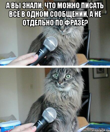 А Вы знали, что можно писать всё в одном сообщении, а не отдельно по фразе? , Комикс  кот с микрофоном