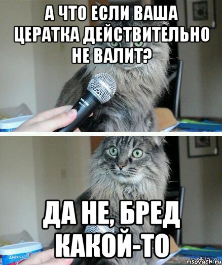 А что если ваша Цератка действительно не валит? Да не, бред какой-то, Комикс  кот с микрофоном