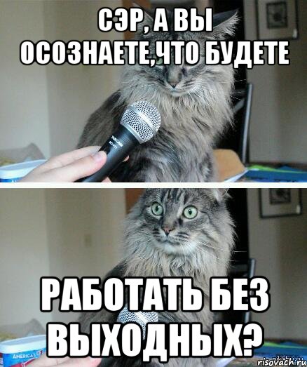 сэр, а вы осознаете,что будете работать без выходных?, Комикс  кот с микрофоном